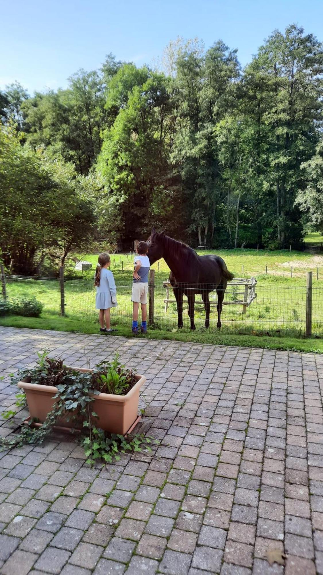 Ferienwohnung Au Coin Des Fagnes Jalhay Exterior foto